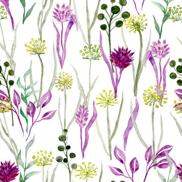 ilustrações, clipart, desenhos animados e ícones de flores silvestres de aquarela desenhadas à mão em um fundo branco. - campanula flower design ornamental garden