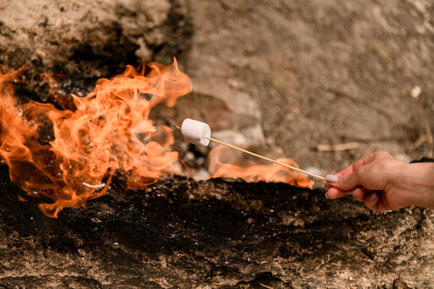 istock female hand holds stick with marshmallow and roasts it over the fire 1331655576