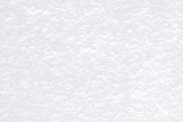 Vector illustration of a blank, empty white colored all over froth textured horizontal backgrounds Horizontal vector illustration of white textured background. The abstract wallpaper is like snow or fur  texture or rug or frothy drink. There is ample space for copy text and no people, no text. Apt for use as wallpaper, greeting cards templates, posters. fur textures stock illustrations
