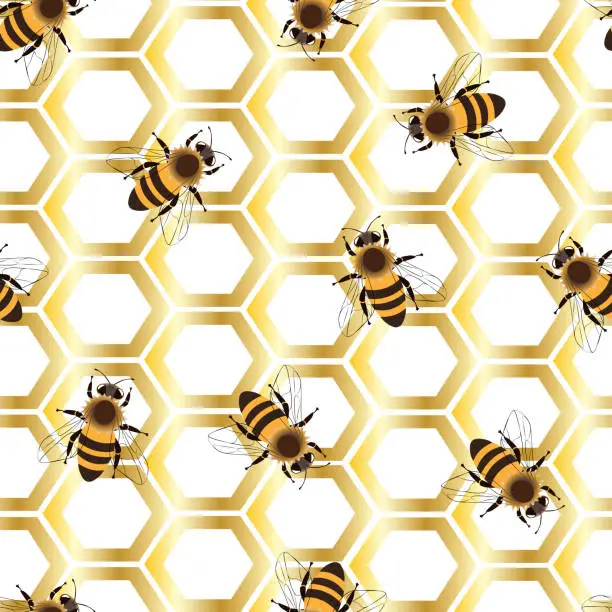 Vector illustration of Golden honeycomb with honeybees on a white background.