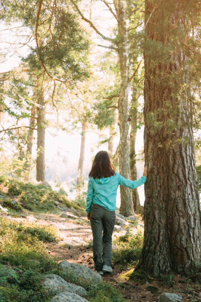 istock Woman walking in summer forest. 1331663541