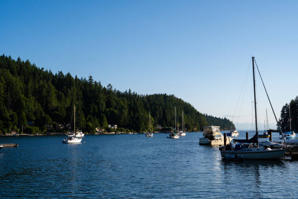 istock Keat's Island on Canada's sunshine Coast 1331665347