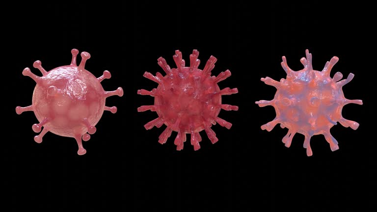 Variants of 3D model of the SARS-CoV-2 virus stock video, loopable.