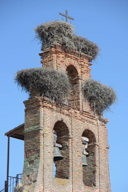 istock Stork nests on the church steeple. 1331667182