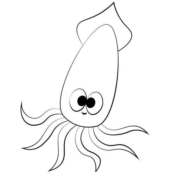 Cute Cartoon Squid Draw Illustration In Black And White Stock Illustration  - Download Image Now - iStock