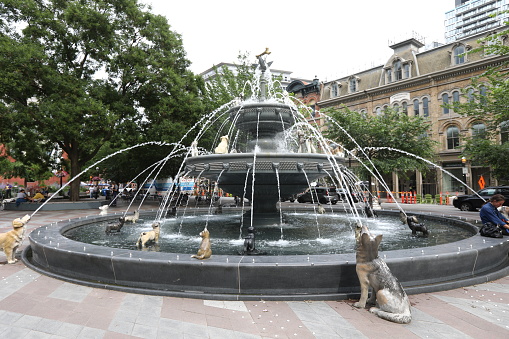 July 16, 2021 - Toronto, Ontario, Canada: Berczy Park and Dog Fountain in downtown Toronto. People enjoying summer in Toronto during Stage 3 of Covid-19 reopening plan in July 2021. Sightseeing Toronto. Travelling in Ontario. Ontario must see places. Canadian heritage. People finally walking and enjoying Toronto after some Covid-19 restrictions lifted. People enjoying summer outdoors weather in Toronto