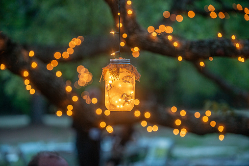 Mason jars filled with warm glowing lights decorations hanging from trees drapped in lights