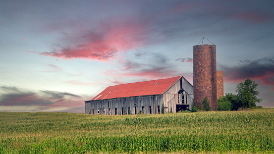 a century old barn slowly erodes in an agricultural field in rural Kentucky.