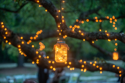Mason jars filled with warm glowing lights decorations hanging from trees drapped in lights