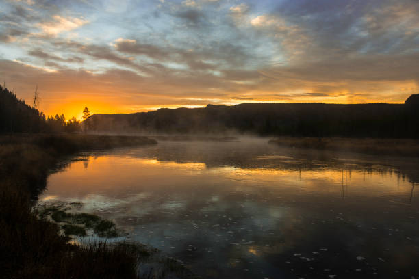 Madison River at dawn in Yellowstone National Park.
