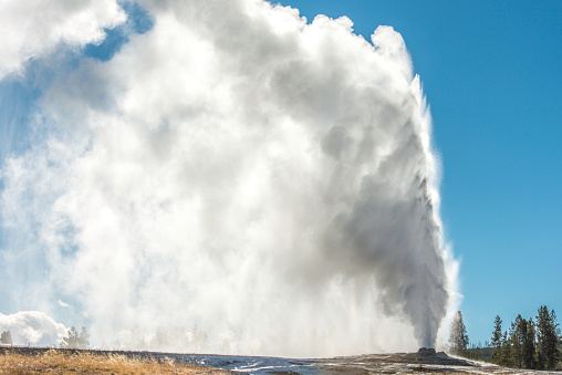 Old Faithful Geyser in the Upper Geyser Basin of Yellowstone National Park. Eruption with lots of steam.