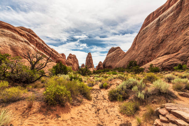istock Arches national park, Moab, Utah, US 1331674206