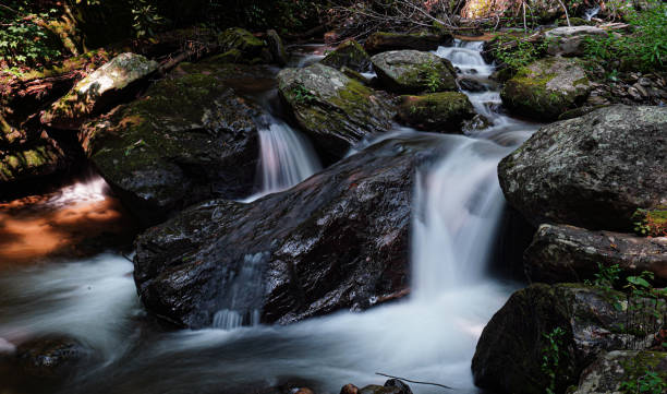istock Water Rushes Down A Creek In The Forest 1331674473