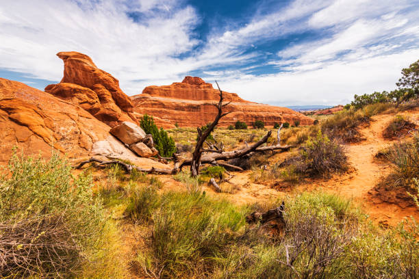 istock Arches national park, Moab, Utah, US 1331676414