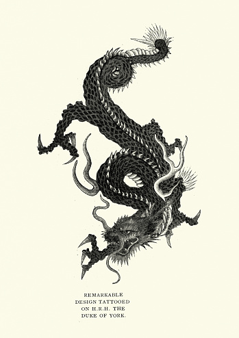 Vintage illustration Japanese dragon tattoo design, 19th Century