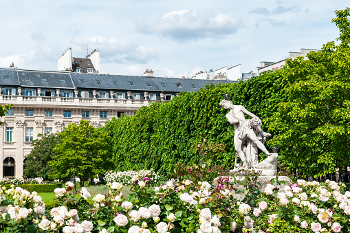 Gardens of the Palais Royal in Paris