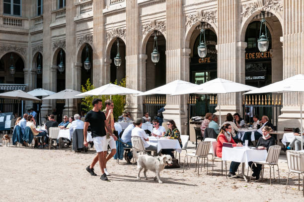 charmante café-terrasse in paris (palais royal) - palais royal stock-fotos und bilder