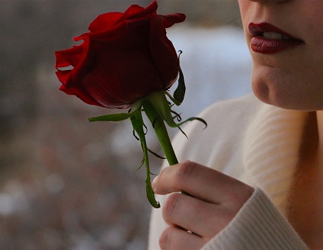 Beautiful woman holding long stem red rose close to face, red lips, romantic concept