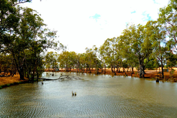 istock Lower Moira, Victoria, Australia 1331686492