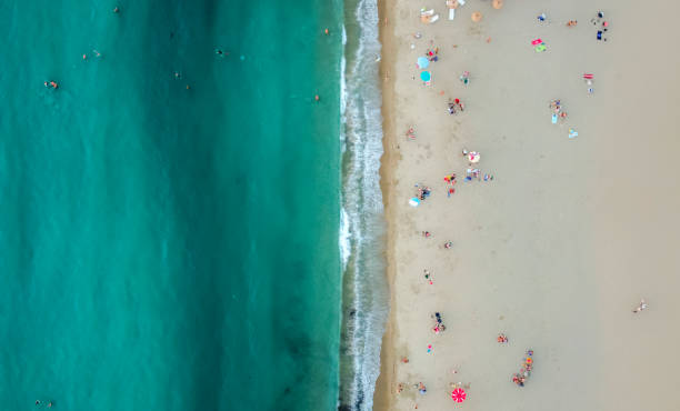 istock Aerial view of tropical beach 1331686771