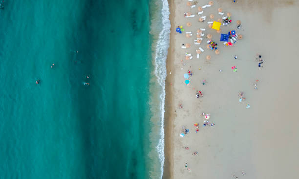 istock Aerial view of tropical beach 1331686772