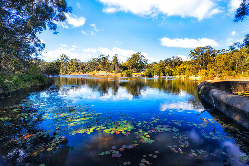 Dam on Lake Parramatta in Hunts creek of Parramatta, Western Sydney, Australia - scenic landscape.