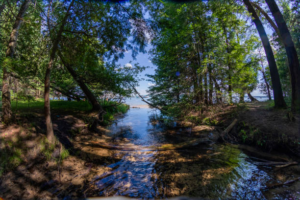 istock Cold Creek Outlet into Higgins Lake Michigan 1331688202