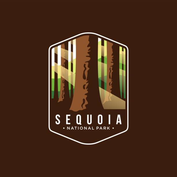 illustration des sequoia national park emblem icon patch - sequoiabaum stock-grafiken, -clipart, -cartoons und -symbole