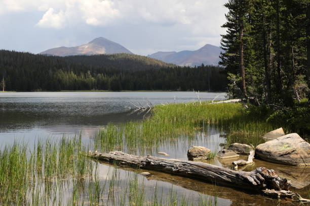 istock Calm Lake at Tuolumne Meadows at Yosemite 1331689780
