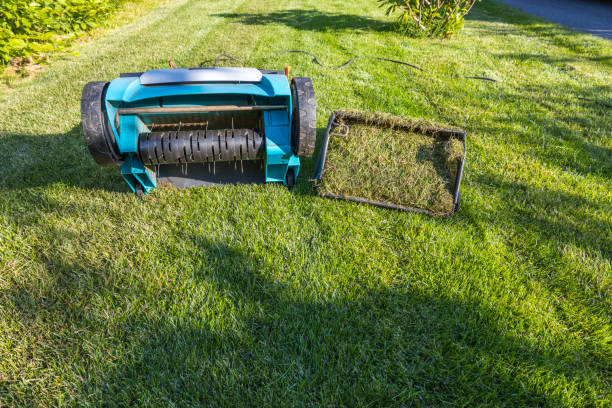 view of a summer lawn with an electric aerator with a basket of mown grass. gardening machines concept. sweden. - aeration imagens e fotografias de stock