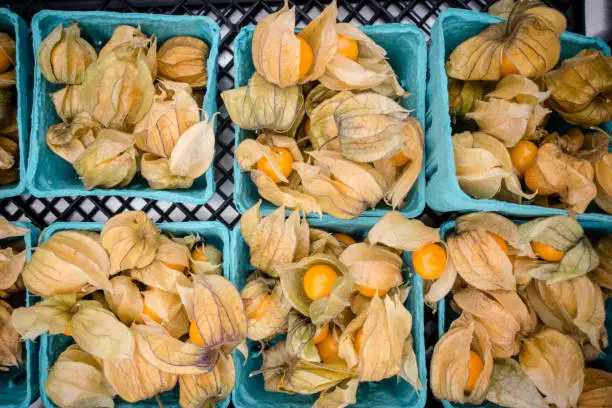 Cape Gooseberry, Ground-cherry, physalis. There are many names for this fresh exotic fruit