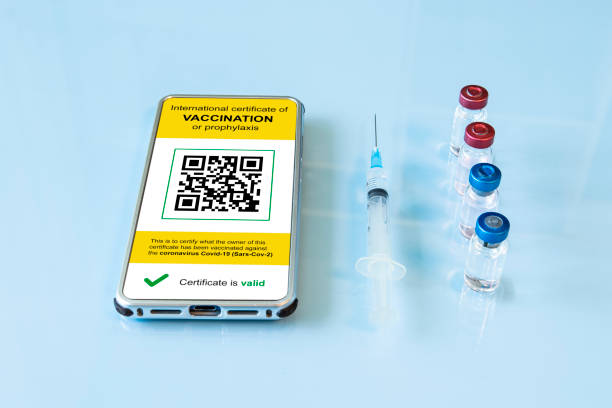 istock Digital immunity passport with a COVID-19 vaccination stamp and qr-code on a smartphone screen with vaccine, protective mask and syringe on blue background. Flat lay. 1331692520