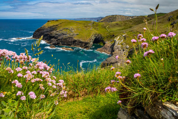 istock Stunning view from Tintagel Castle in Cornwall, UK 1331693027