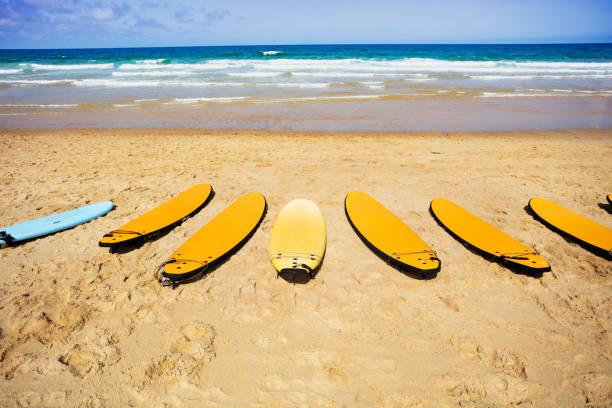 istock Many surf boards on the beach with sea behind 1331693107