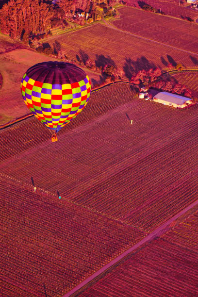 ナパの谷と丘の上に乗る熱気球 - hot air balloon california napa napa valley ストックフォトと画像