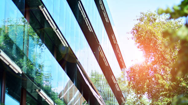 istock Eco architecture. Green tree and apartment building. 1331693394