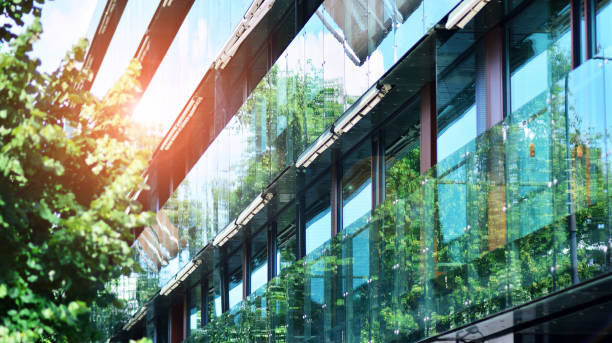istock Eco architecture. Green tree and apartment building. 1331693481