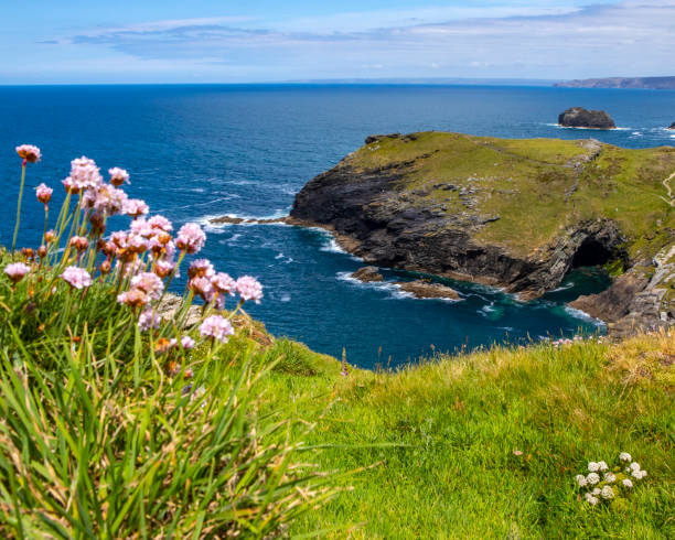 istock View from Tintagel Castle in Cornwall, UK 1331693534