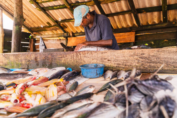 istock Man selling fish at small local fish market 1331694278