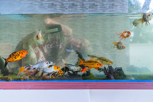 A mature 55-years-old active positive attractive woman cleaning a huge fish tank