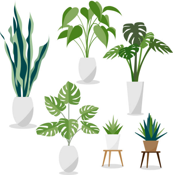 128plant set plant set ornamental plant stock illustrations