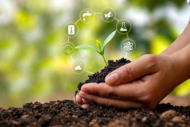 istock tree growing on soil in human hands and plant growth factor icon plant growth concept and plant essential nutrients 1331702942