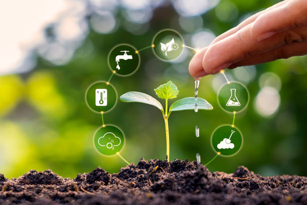 istock Hands are driving water, plants, and trees growing on soil with eco concept plant growth factor icon. earth day cards protect the environment keep the world clean 1331703593