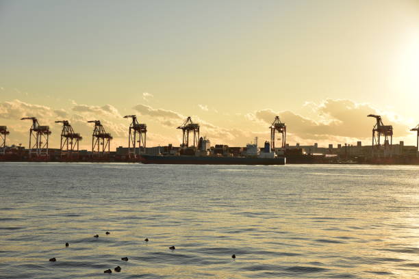 istock city of sunset 1331704661