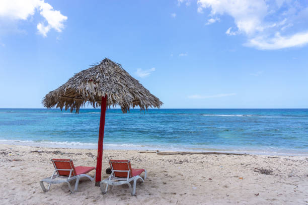 istock A beautiful beach with no one around. tropical tree shade 1331704688