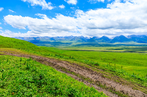 Green natural scenery in the Nalati grassland,Xinjiang,China.
