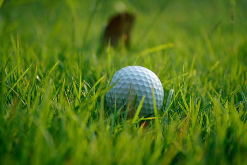 Close up view of golf ball on tee on golf course