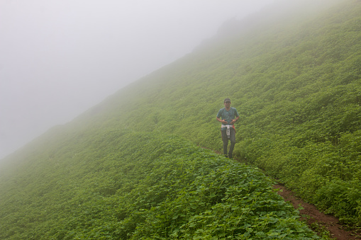 Man goes hiking around green plants. haze background.