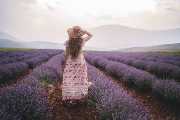 istock Young woman at a lavender field 1331723519