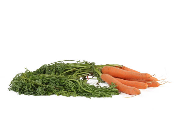 istock bunch of carrot isolated on white 1331725266